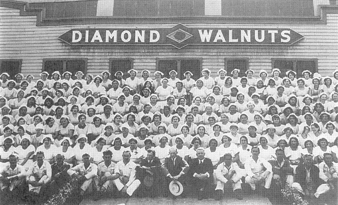 Diamond_Walnuts.jpg