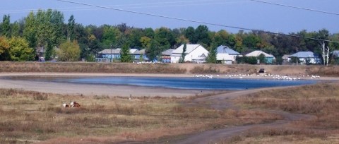 Village